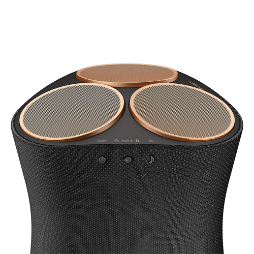 SONY SRS-RA5000 BLACK Sony SRS-RA5000 Premium Wireless